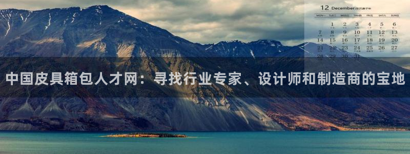 辉达娱乐计划软件