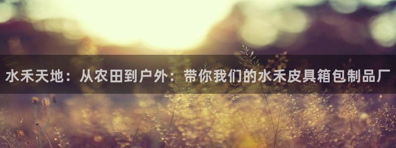 辉达娱乐平台