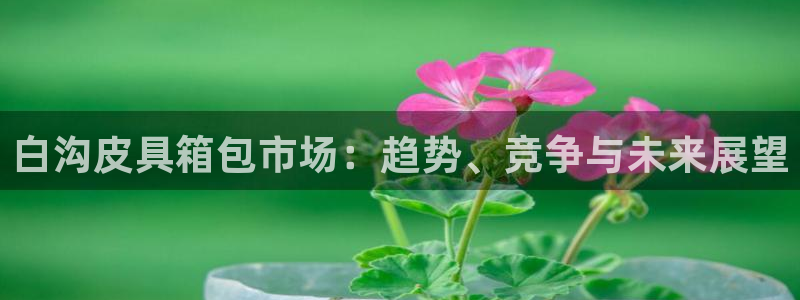辉达娱乐最新现状