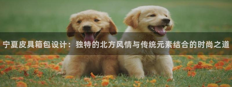 辉达娱乐招商