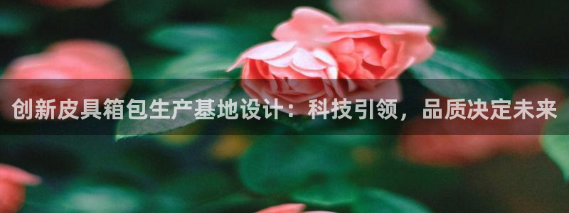 辉达娱乐福彩