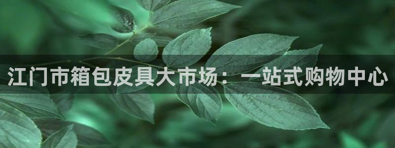 辉达娱乐最新现状