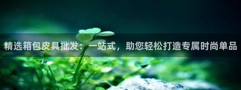 辉达平台官网首页