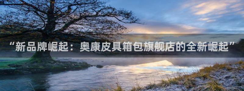 辉达平台官网下载