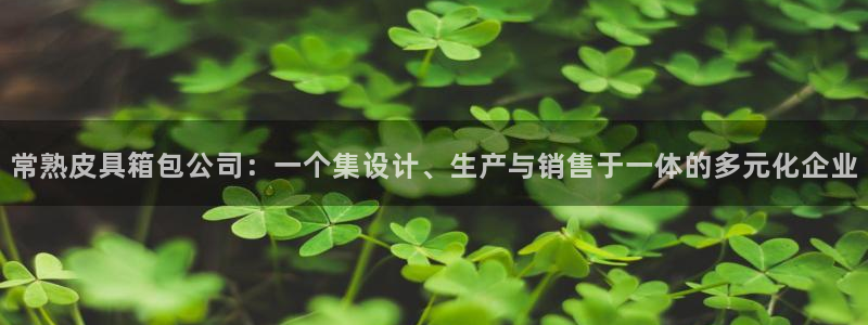 辉达娱乐多少年