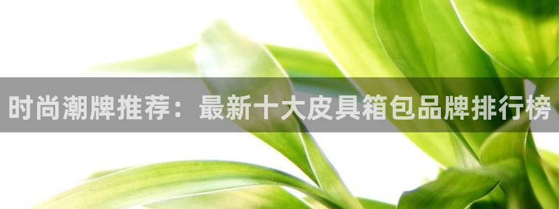 辉达娱乐最新版本更新内容