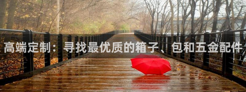达利娱乐王辉