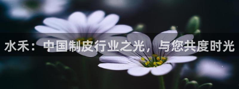 辉达娱乐己39444
