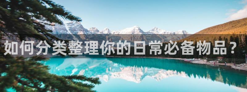 辉达娱乐最新现状