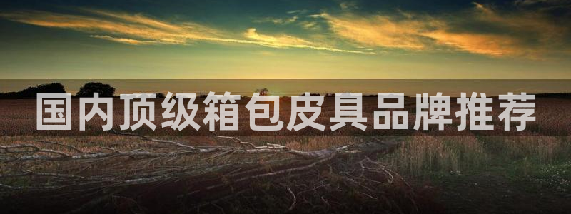 达娱乐辉70667