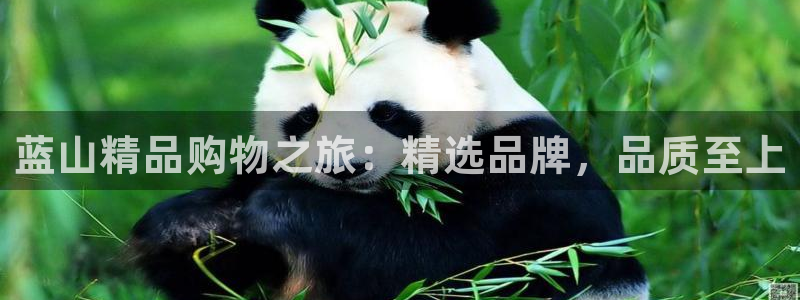 辉达平台官网首页