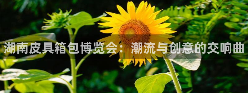 辉达娱乐电子