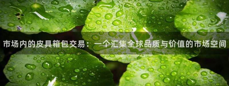 辉达娱乐丿75505