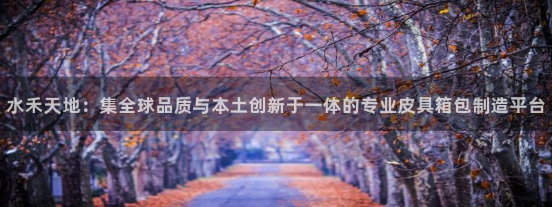 专业辉达娱乐平台