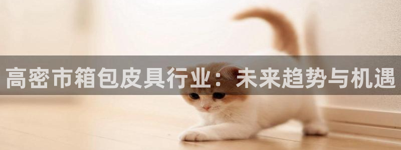 辉达娱乐体彩