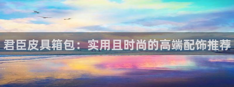 辉达娱乐最新版本更新内容