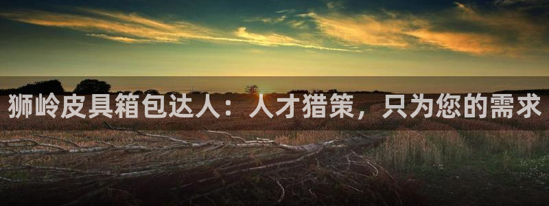 辉达娱乐待遇