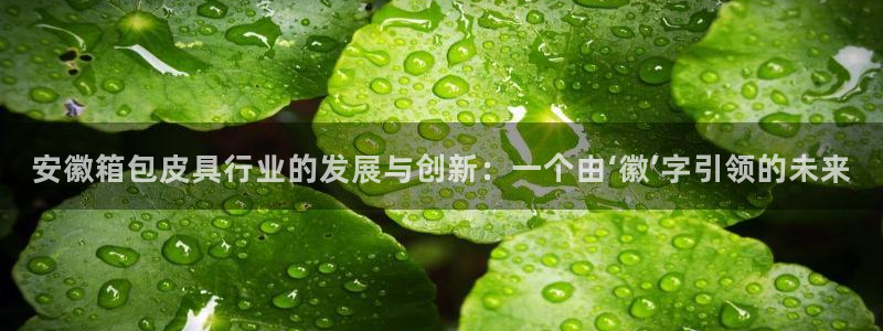 辉达娱乐招商