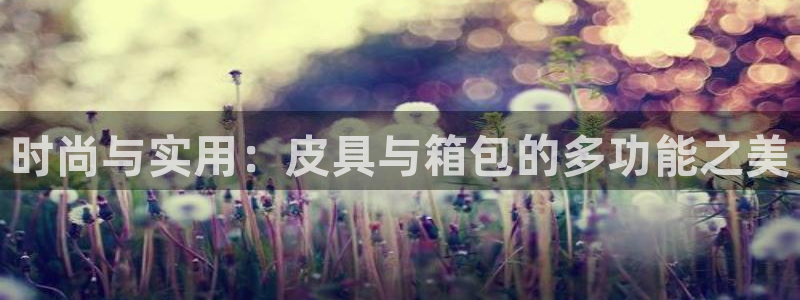 辉达娱乐平台