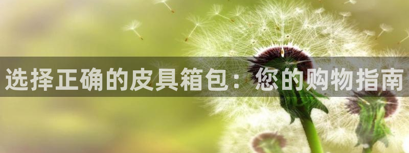 辉达娱乐ag游戏平台