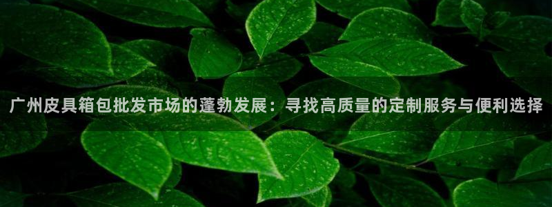 专业辉达娱乐在线游戏