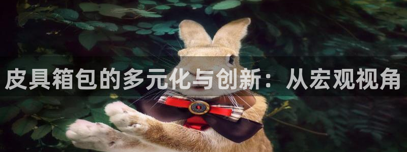 辉达娱乐福彩