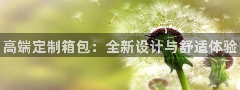 辉达平台官网电话