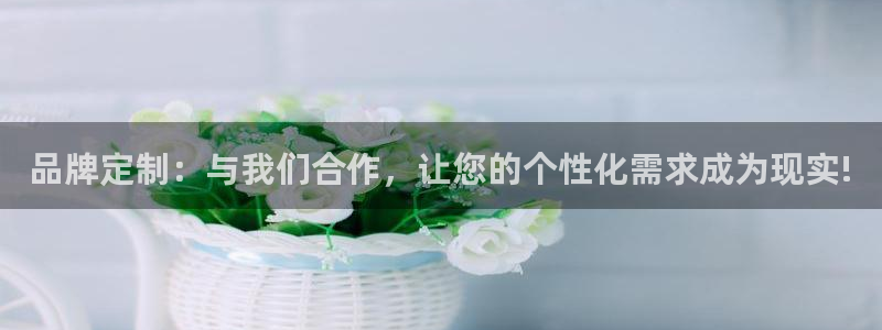 正规辉达娱乐