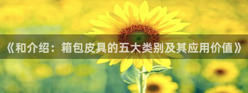 辉达娱乐丶75505