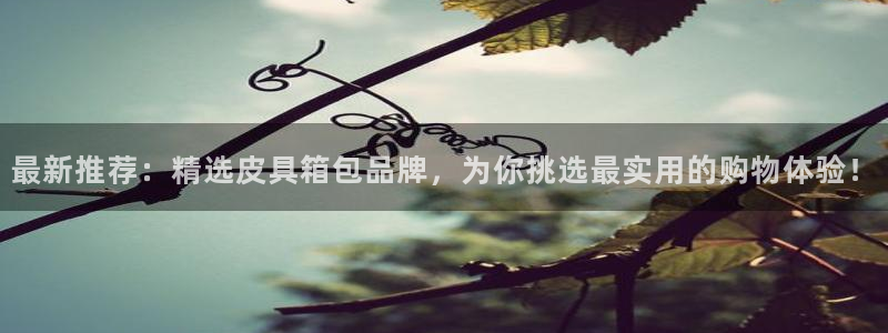 辉达怎么样