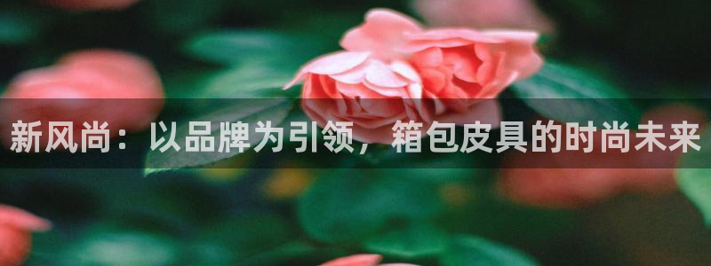 信誉辉达娱乐平台