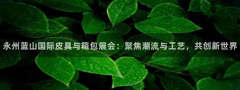 辉达娱乐多少年