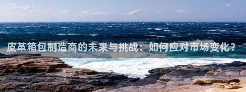 辉达娱乐属于什么档次