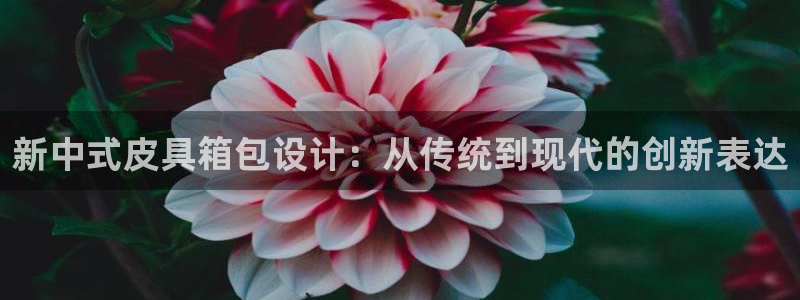 辉达娱乐己39444