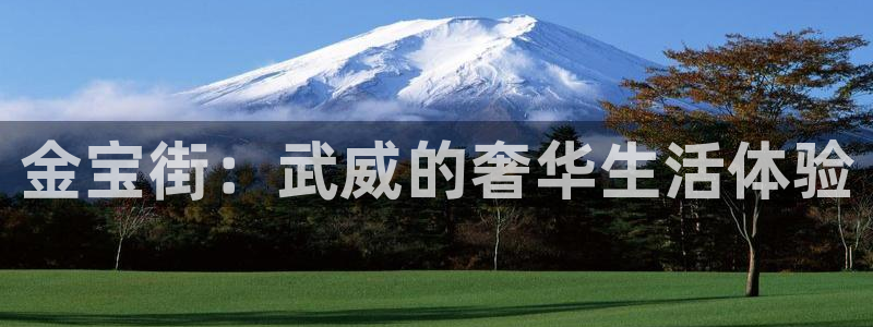 辉达娱乐线路检测