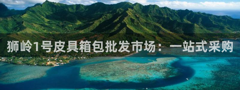 辉达娱乐公司