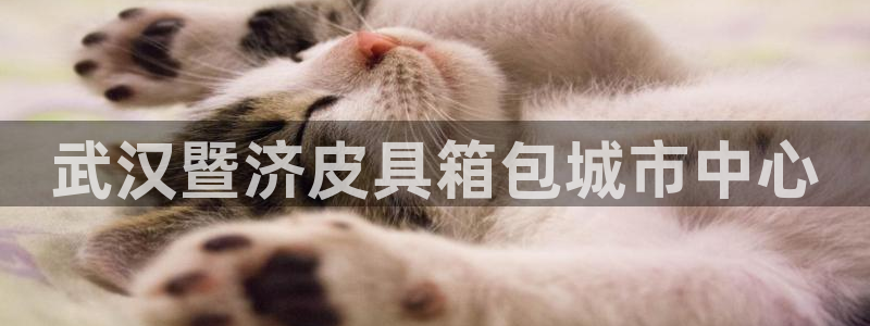 辉达娱乐官网