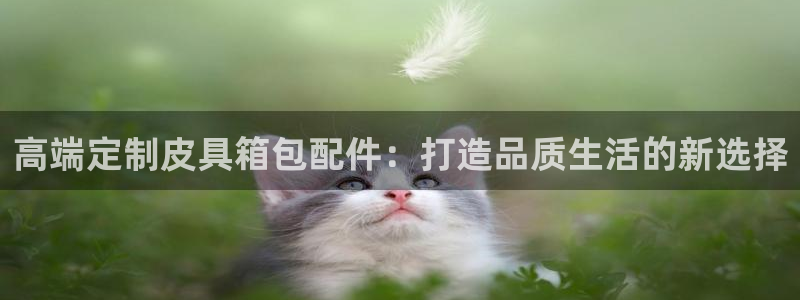 正规辉达娱乐