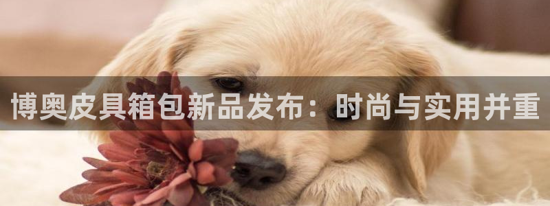 辉达平台官网首页