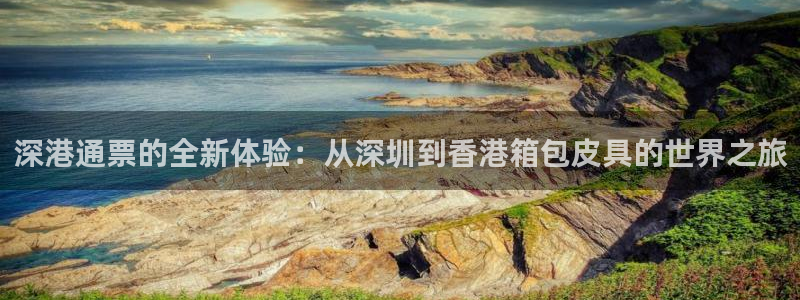 龙腾辉达电子娱乐
