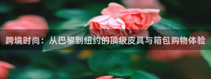 辉达娱乐体彩