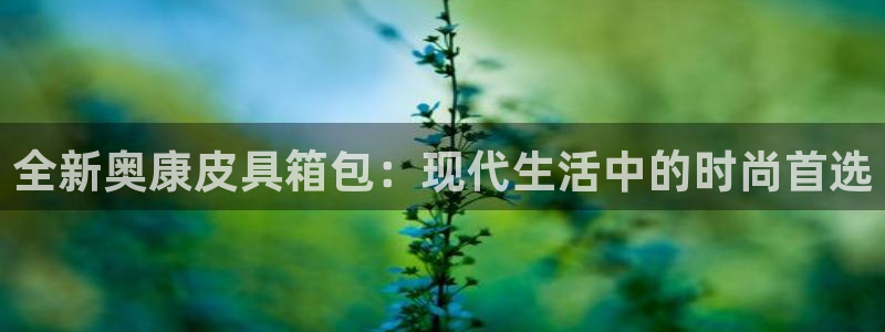 辉达娱乐 75505