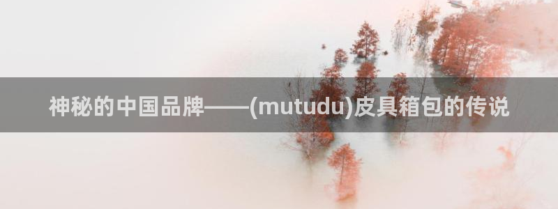 辉达平台官网网站