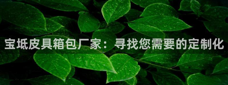 辉达娱乐下载