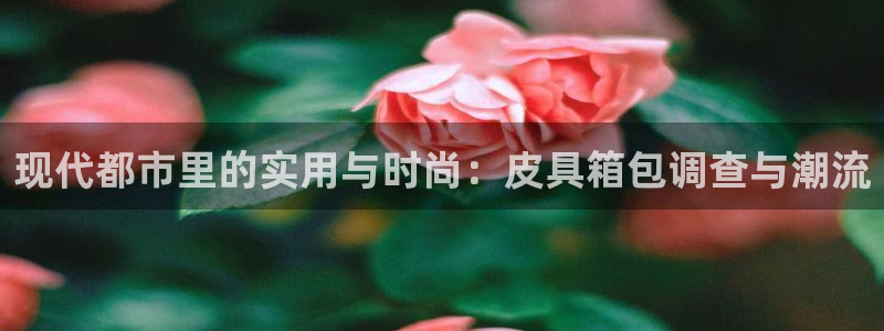 辉达娱乐加q75775