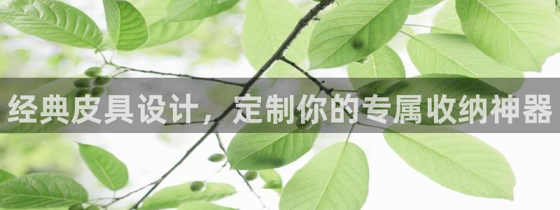 辉达娱乐平台