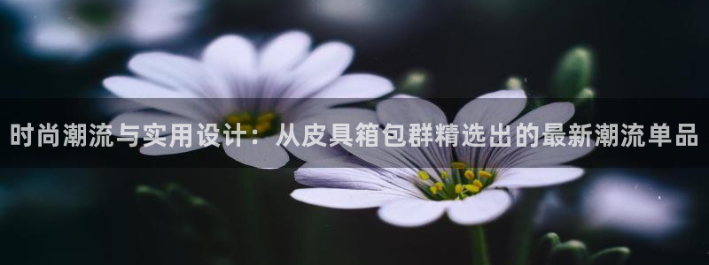 信誉辉达娱乐平台
