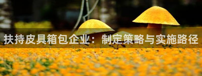 菲律宾辉达娱乐