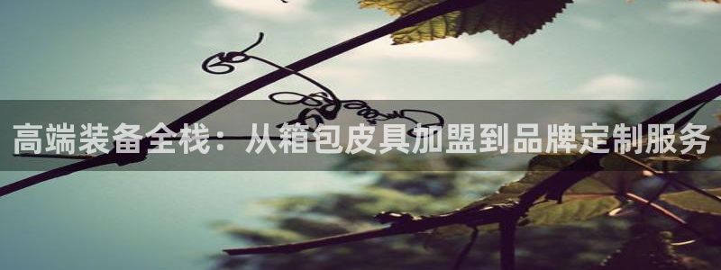 辉达怎么样