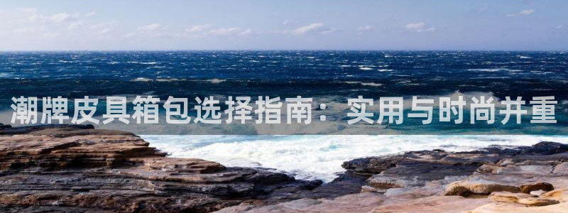 辉达集团官方网站